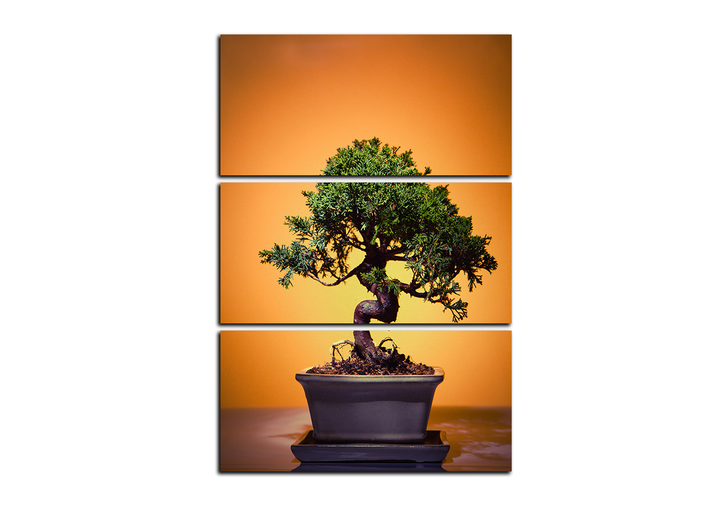 Obraz na plátně - Bonsai - obdélník Obraz na plátně - Bonsai - obdélník